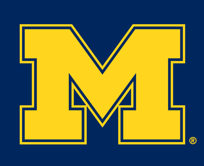 Michigan Wolverines 1996-Pres Alternate Logo v3 diy iron on heat transfer
